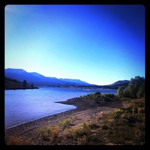 Meet your Posher, Shasta